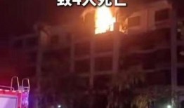 郑州市最新爆料,揭秘城市变迁背后的故事