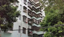 杭州新花园爆料案件最新,揭秘背后惊人真相