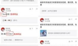 视频爆料规则最新版,揭秘合规发布与风险规避要点