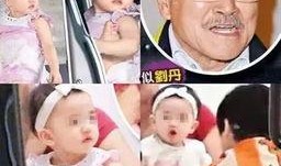 小糯米最新爆料,揭秘娱乐圈幕后真相