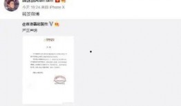 武汉谭先生最新爆料,揭秘XX事件背后真相