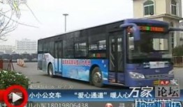 汕头公交爆料事件最新消息,最新进展揭示真相与影响