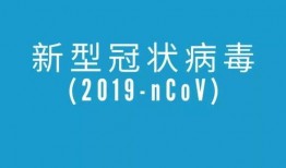 病毒爆料最新消息新闻,病毒爆料揭示疫情新进展