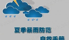临沂小雨爆料最新消息